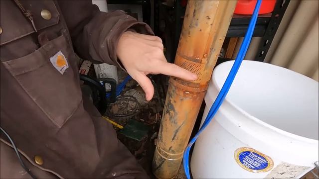 They're After Me Again Off Grid Living In A Tiny House