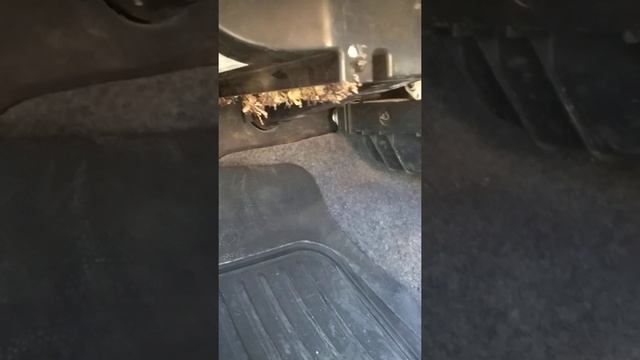 Замена фильтров Toyota и Renault