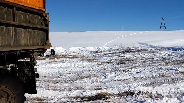 Т-40  и Урал  в работе.