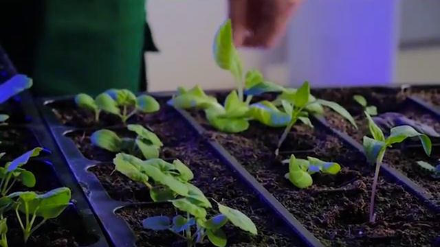 Bea6bc6ef9c4b96e3b8213045bc94b86