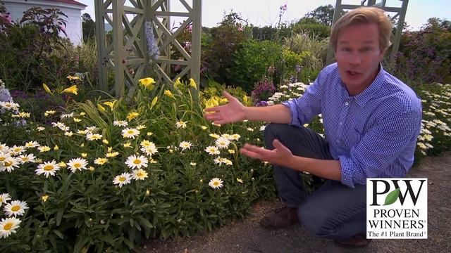 30 PW Going Bananas & Banana Cream