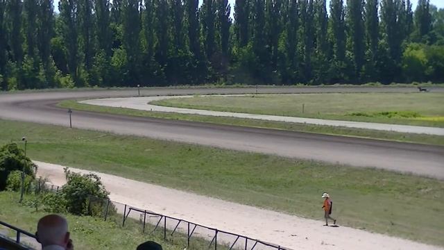 20.06.2015 Видео-онлайн трансляция ипподром Киев Ч.3