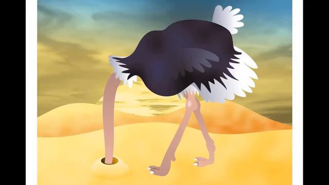 Правда ли, что страусы прячут голову в песок?