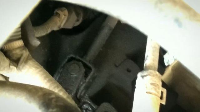 Магический путь к истине