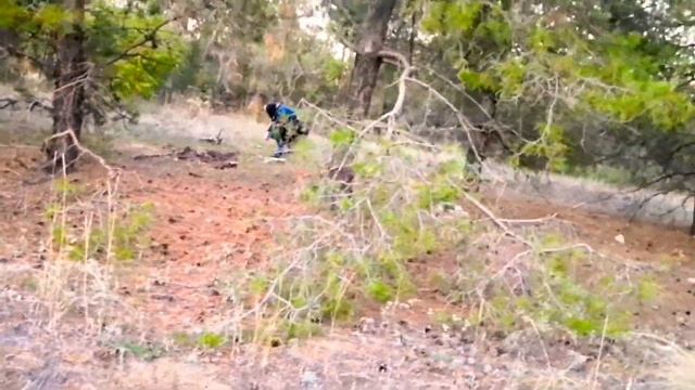 9dd524230387642e9c095ef471eaae55