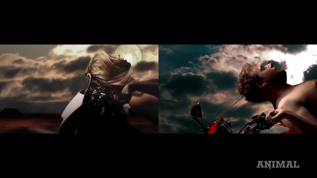 6ce49a8241770a41b1f908ac065d1a31