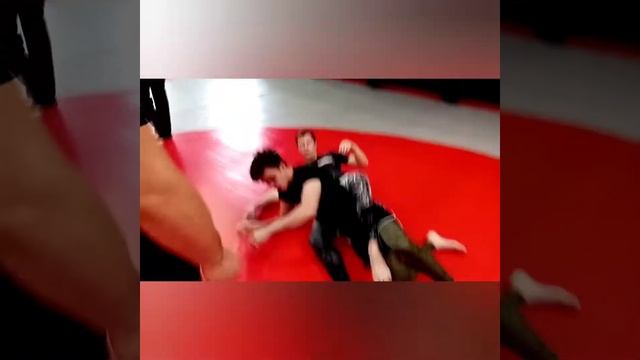 Моменты участия Ludus Team Barnaul в Sabmisin ивенте (без учёта балов) 20.11.2022.