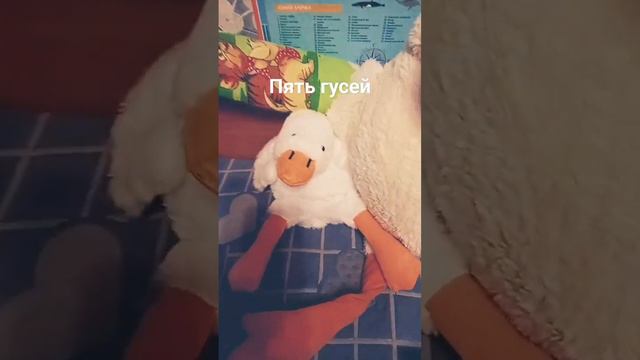 кто догадался Какое моё любимое животное