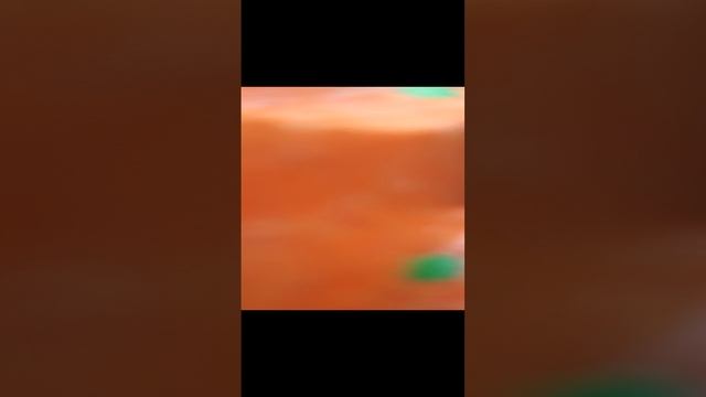 VID_20230821_173535.mp4