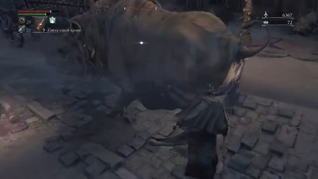 Bloodborne  хрю-хрю мазафака