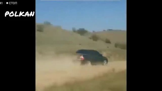 Подборка лучших видео с оперских машин