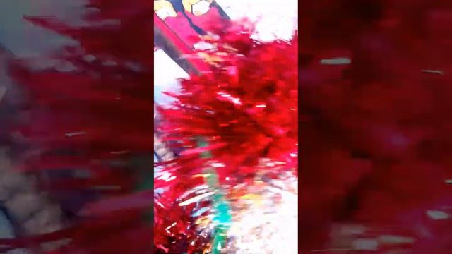 УКРАСИЛ СНЕГОКАТ