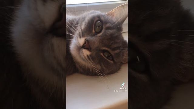 Сон час Баю Бай??