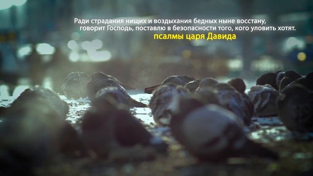 2020 10 06 Цитаты святых