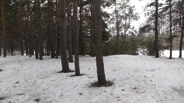 КАЯЛОВ БОР