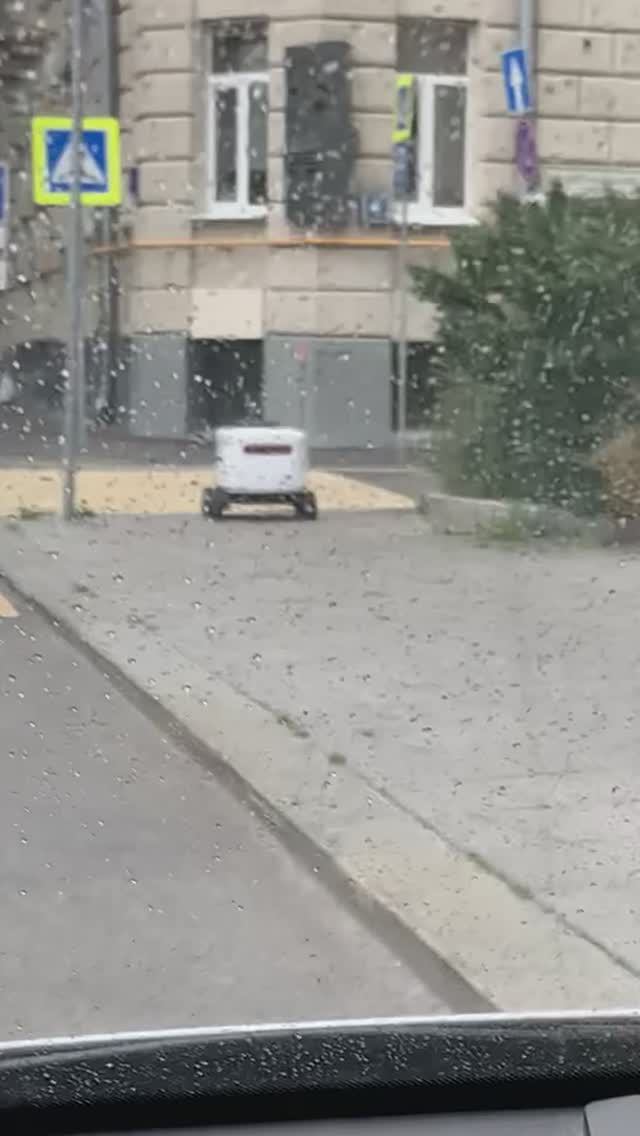 Робот Яндекс