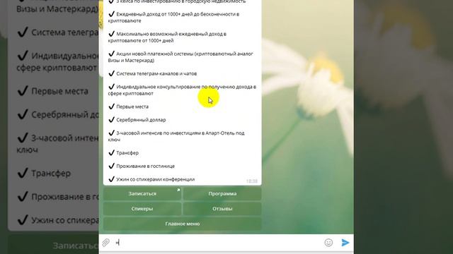 Обзор чат бота для криптоконференции
