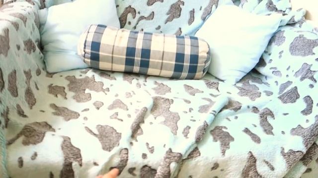 Утепленная лоджия для выращивания комнатных цветов: мой опыт