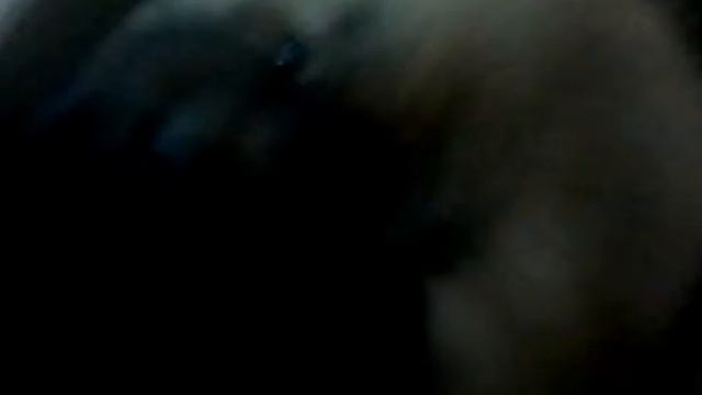 Покупка собаки!!! Влог