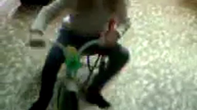 катающаяся кошка на коляске