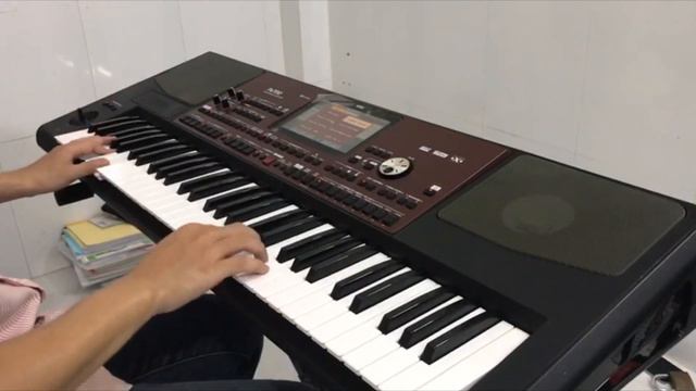 Senorita Shawn MendesCamila Cabello-cover by Huỳnh Thiện Korg pa700