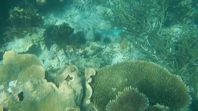 0ec723738778ebca3077cc73521a3bc7