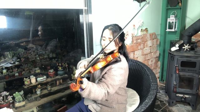 인생의 회전목마 -하울의 움직이는 성ost Violin Cover