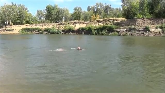 Радиаторные Исследования