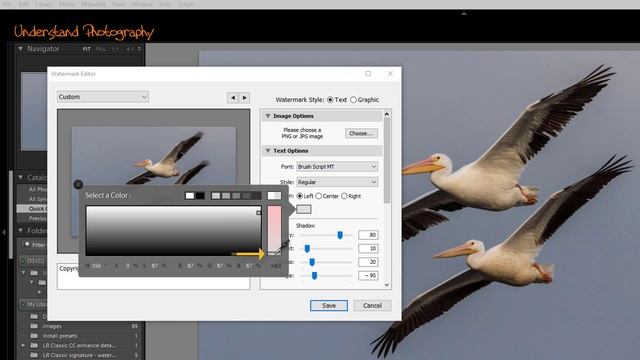 How To Quickly Add A Signature Or Copyright In Lightroom