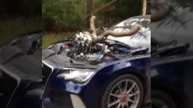 Хобби Творец