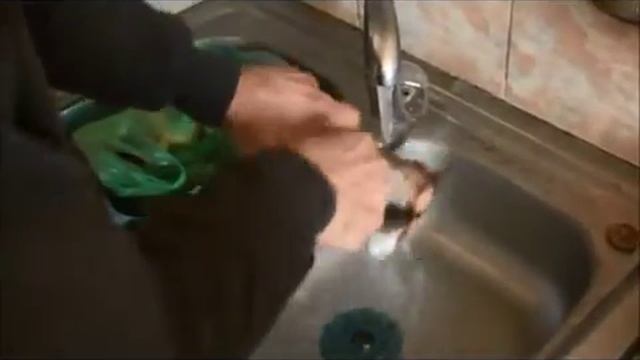 Вкусные рецепты рыбы