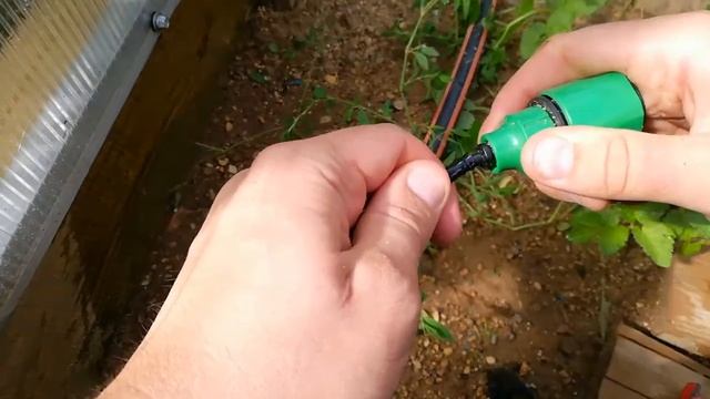 Капельный полив ЛЕГКО И ПРОСТО!