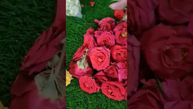 Mirabel red rose vanessia red rose yellow mini rose orange mini roseorchids sonia muttuu puu jasmin