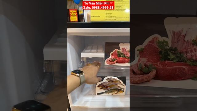 Tủ Lạnh Nhật Bản Giá Rẻ Tại Điện Máy Xanh | Tủ Lạnh Toshiba 180 Lít Tiết Kiệm Điện INVERTER