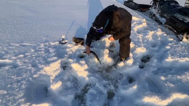 РЫБАЧИМ НА КАРЕЛЬСКОМ ЛЕСНОМ ОЗЕРЕ  ДОБИРАЕМСЯ НА СНЕГОХОДЕ,ЖИВЁМ В ПАЛАТКЕ.