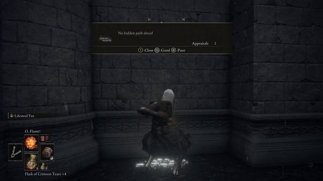 The Elden Ring Illusory Walls Experience