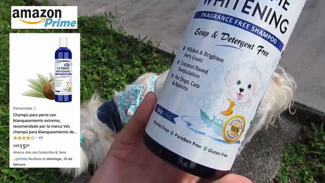 Fb4e62f52a4f74251caf8ff7181f2451