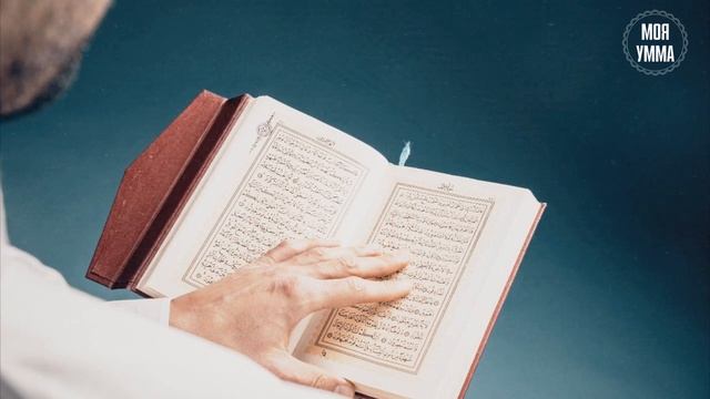 C8e6716116badacaf2f2c4be0b9d5af6