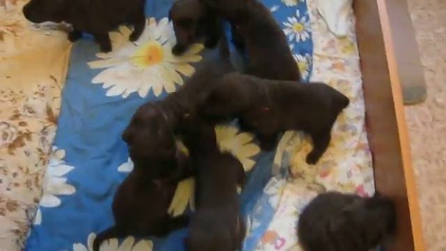 5afe0225178b196dde04f1b9d79fb2d1