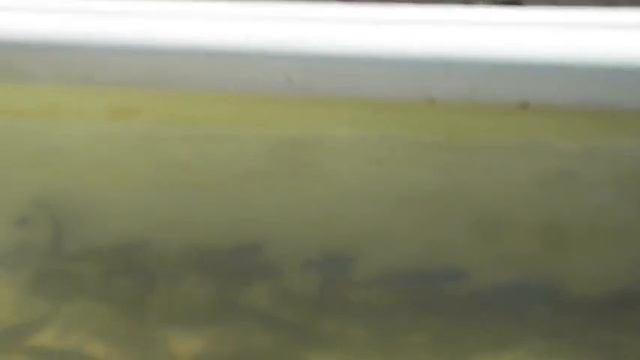 64392ef31f67f80be27fc21c46038a5e