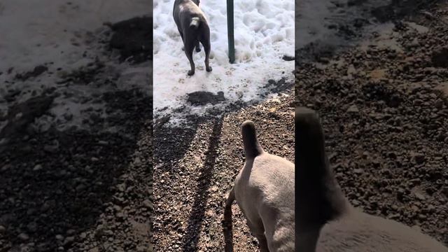 Погода 🥰🥰🥰