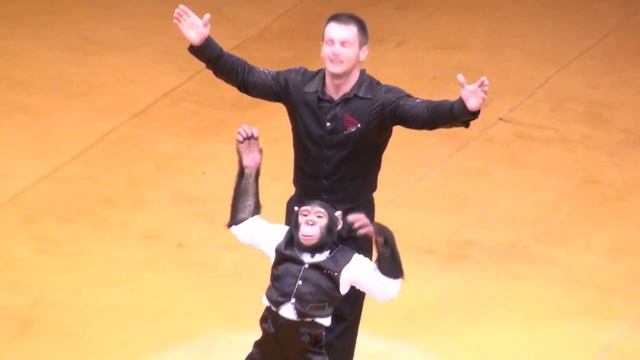 90681b16374d5a9bee264da9d43e7bd3