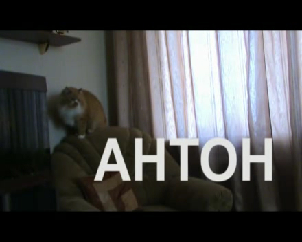 Ed2458a2b336c65af5e8a8f4b3bcf6d5