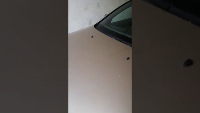 Ремонт и диагностика авто: заводится, работает, проблемы