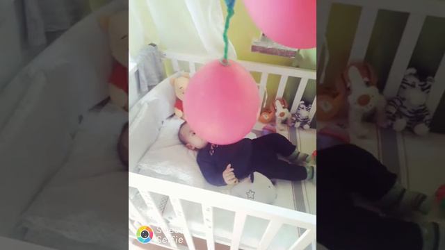 Майско Илхан