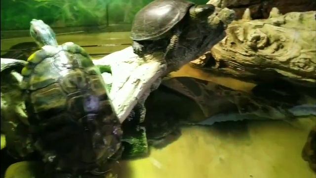 Ba06c74a3ed7971c89750fcffb3e5a2d