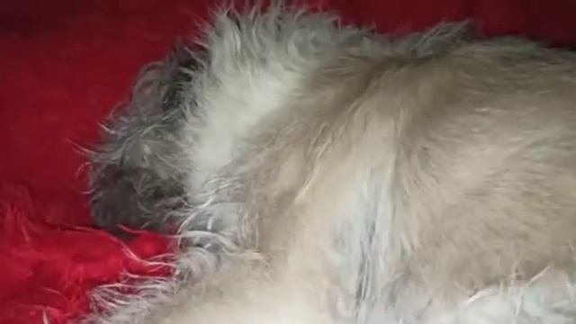 D411b8c21af2ae62133900a131b9d094