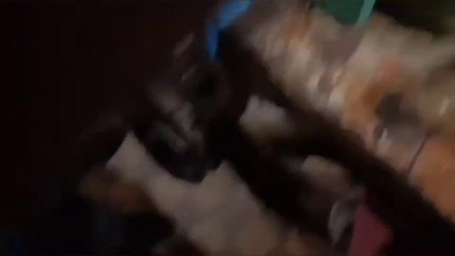 ножны из дерева