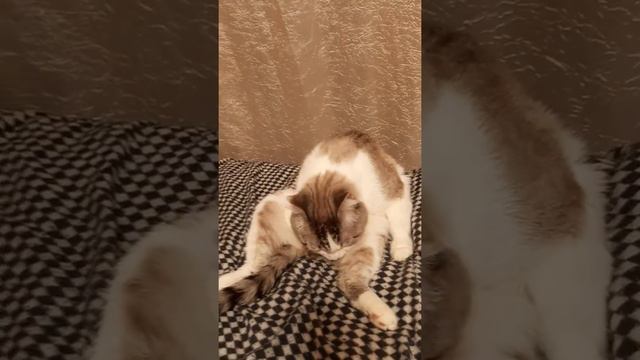 B2697f85678a866c9263d073a3a4e7f7