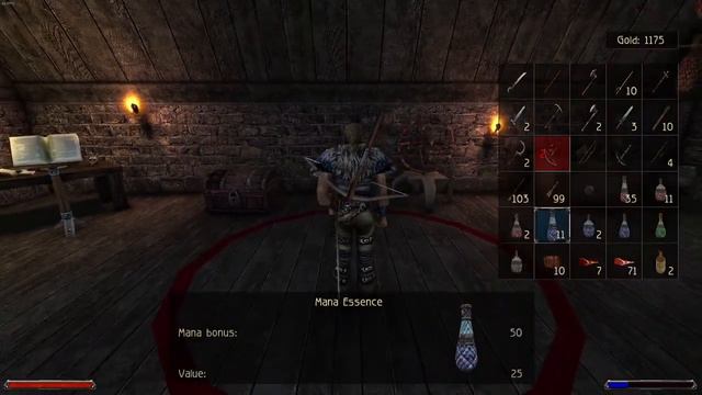 Teleport World  V1.2  // Готика 2 НВ #СборкаКорАнгара